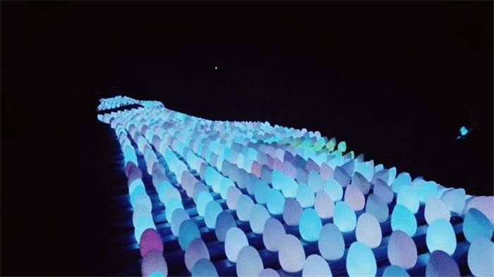 1584002062514229.jpg 4.jpg