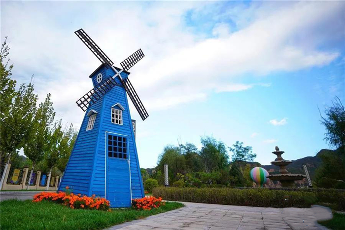 1585735645521502.jpg 1.jpg