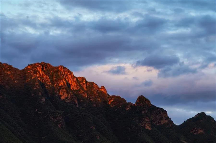 1585735697960340.jpg 3.jpg