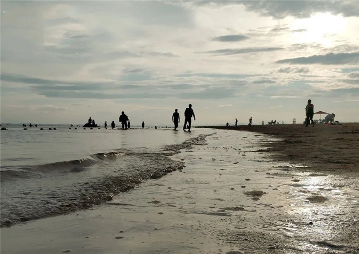 1586426626122778.jpg 3.jpg