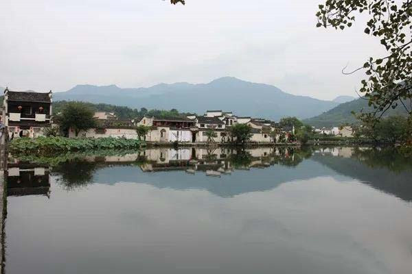 1588152520745955.jpg 微信图片_20200429172342.jpg