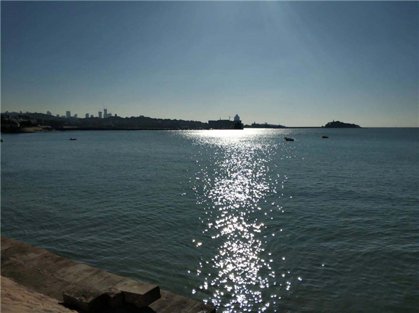 1591349810139457.jpg 2.jpg