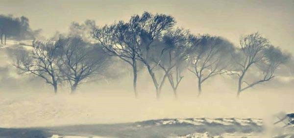 1591437749323512.jpg 2.jpg