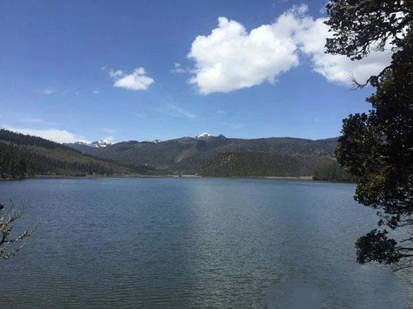 1591437819341155.jpg 6.jpg