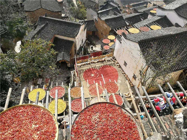 1591779808610793.jpg 2.jpg