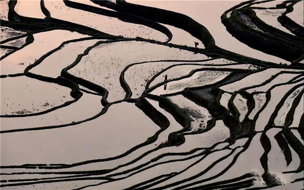 1603964199135803.jpg 4.jpg