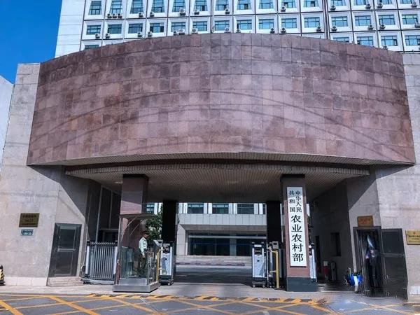 1603964235538327.jpg 2.jpg