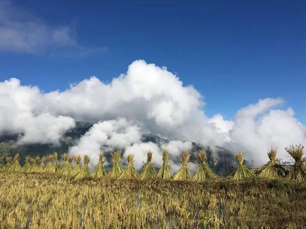 1614245857132004.jpg 微信图片_20210225173600.jpg