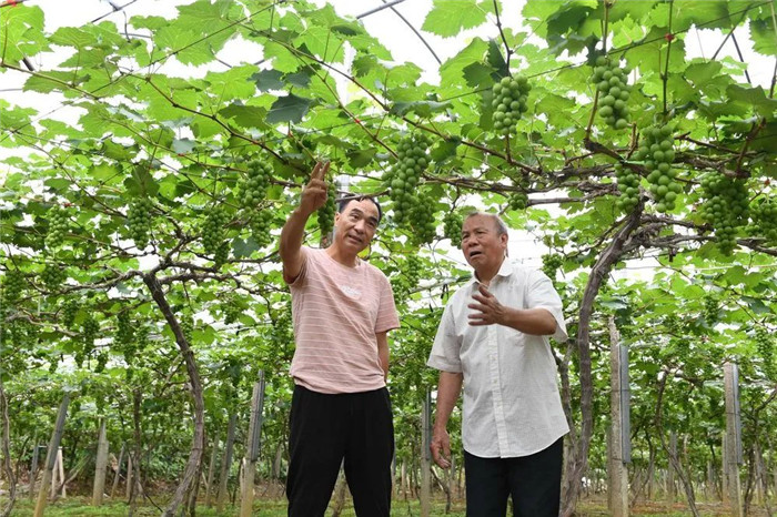 1626168587238783.jpg 4.jpg