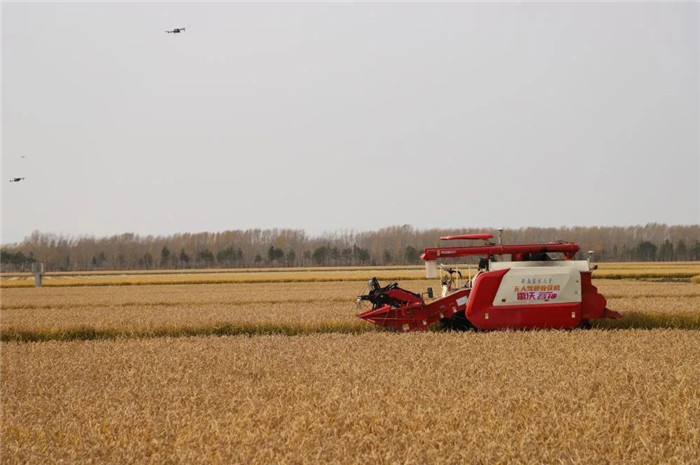 1626168608137142.jpg 5.jpg