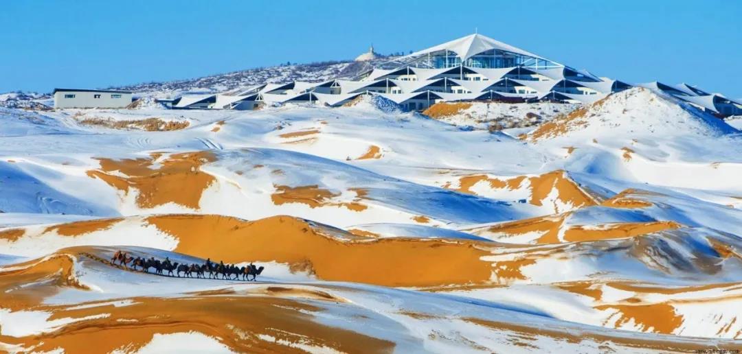 1641547218103078.jpg 1641547218103078.jpg