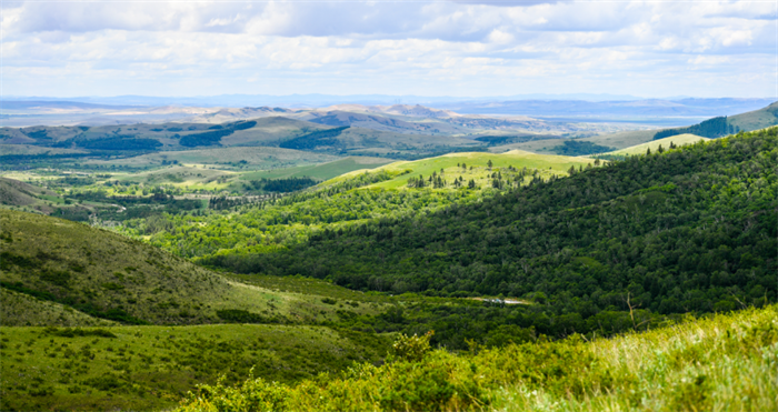 1706257342403853.png 640.png