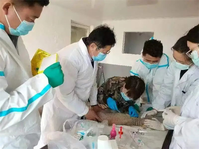 1735010104520125.jpg 33.jpg